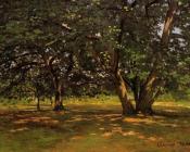 克劳德 莫奈 : Fontainebleau Forest